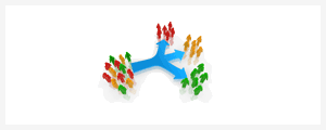 Customer  Analysis Report